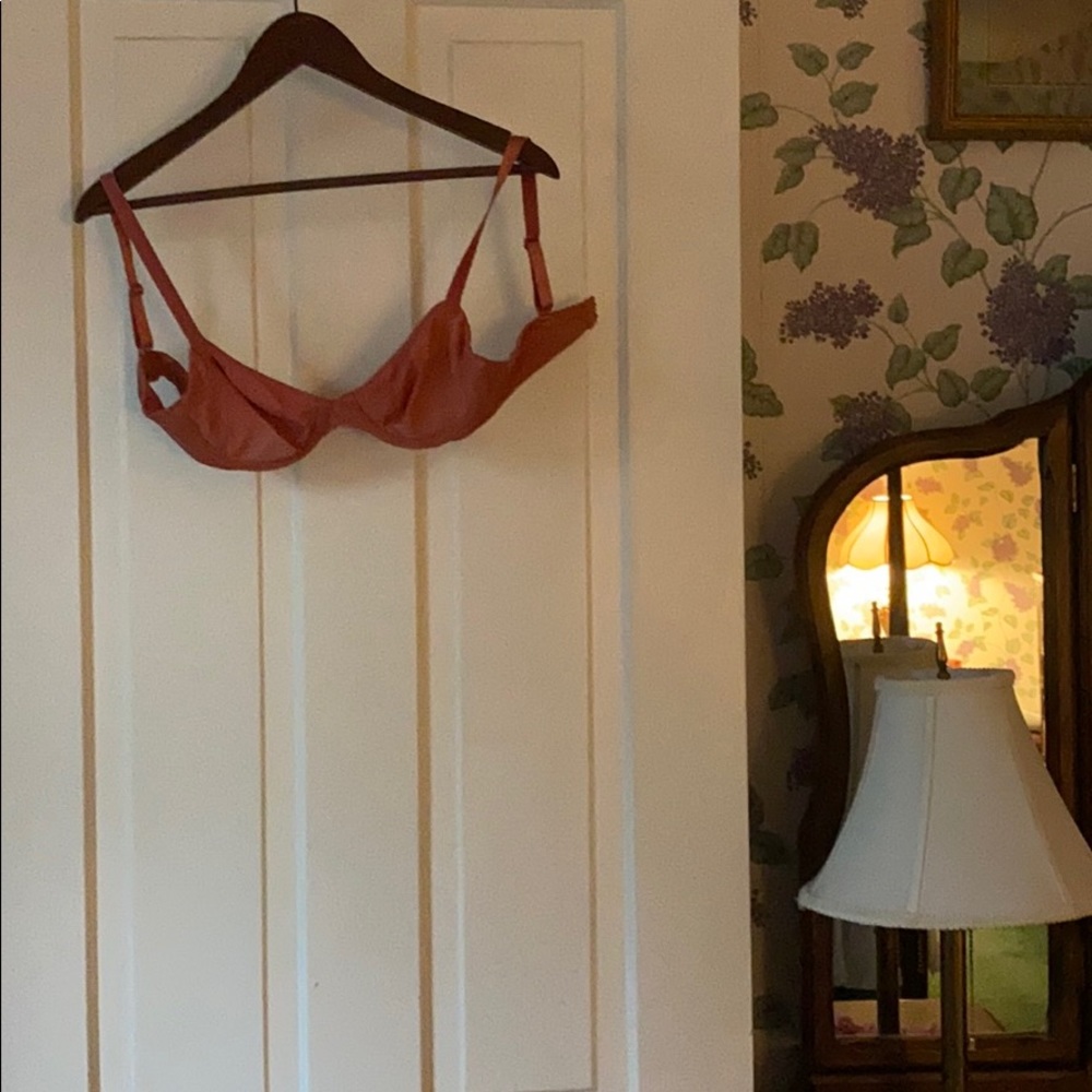 NEVER WORN: sunset brown triangle bra